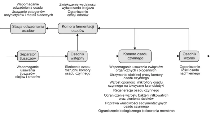 Fig. 2. Effect of activated sludge bioaugmentation on the course of biological wastewater treatment process 