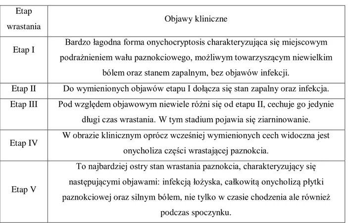 Tabela 3.  Etapy wrastania paznokcia według Kline  Etap 