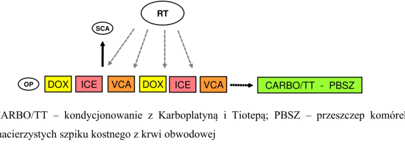 Figure III.2: MRT &lt; 18 months: HD-chemotherapy RTK / MRT &lt; 18 months