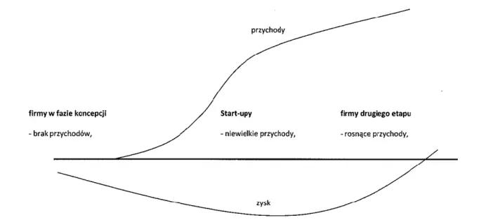 Rysunek 1. Początkowe fazy biznesowego cyklu życia (Damodaran, 2012, s. 84).   