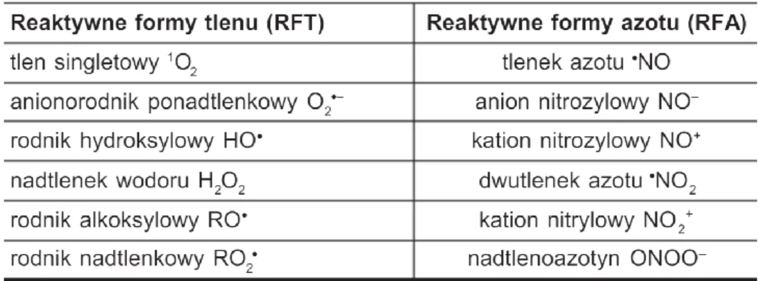 Tabela 1.1. Przykłady reaktywnych form tlenu i azotu [20–22] 