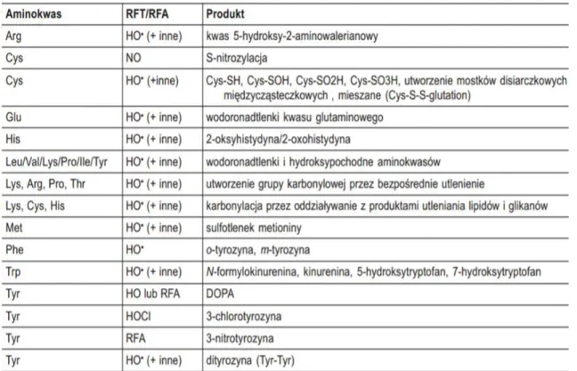 Tabela 1.2. Powszechne modyfikacje białek wywołane wolnymi rodnikami [59,60] 