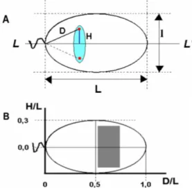 Fig. 6. Scheme of the sperm nucleus illustrating the analysis of  radial localization of centromeres according to [92]