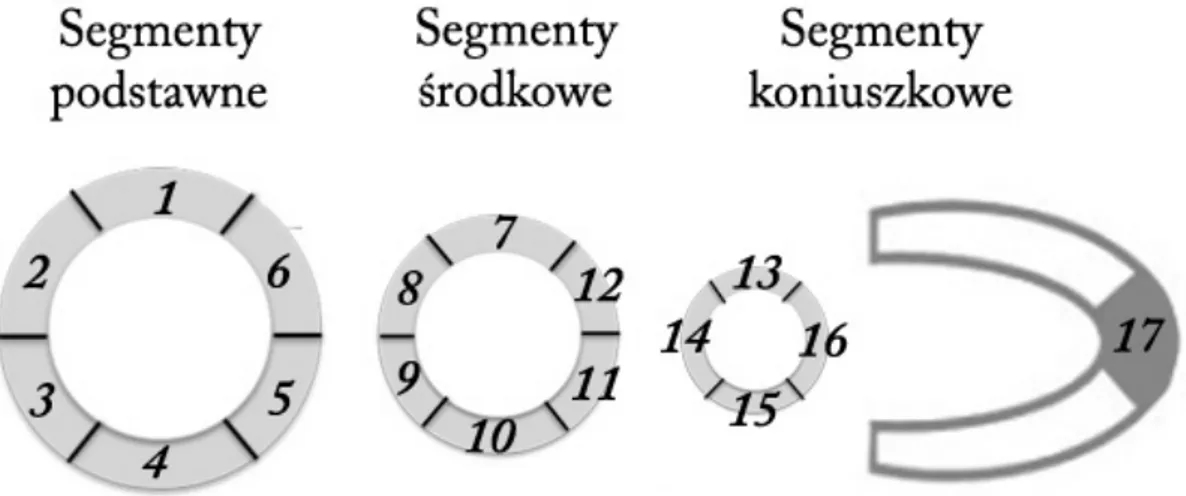 Tabela 8. Nazwy segmentów w 17 częściowym podziale miokardium lewej komory 