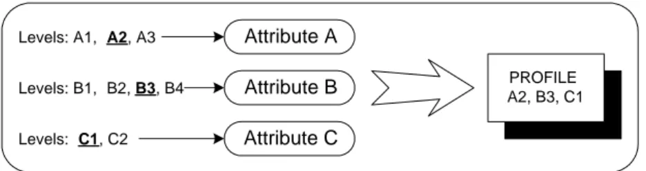 Fig. 3. Relations between the profile, attributes and the attribute levels 