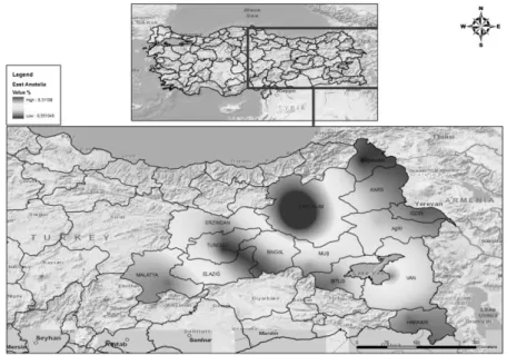 Fig. 12  Eastern Anatolia Region graphical representation (three-dimensional) 