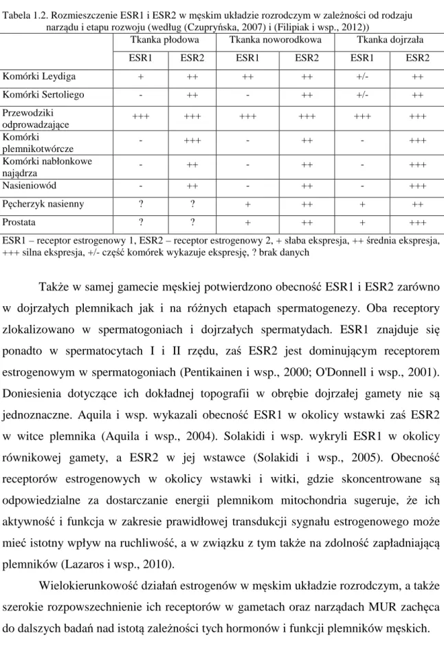 Tabela 1.2. Rozmieszczenie ESR1 i ESR2 w męskim układzie rozrodczym w zależności od rodzaju  narządu i etapu rozwoju (według (Czupryńska, 2007) i (Filipiak i wsp., 2012)) 