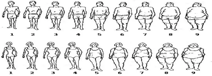 Figure 1. Figure Rating Scale drawings. From The Genetics of Neurological and Psychiatric Disorders, edited by SS Kety,  LP Rowland, RL Sidman and SW Matthysse, 1983, New York: Raven Press, 1983