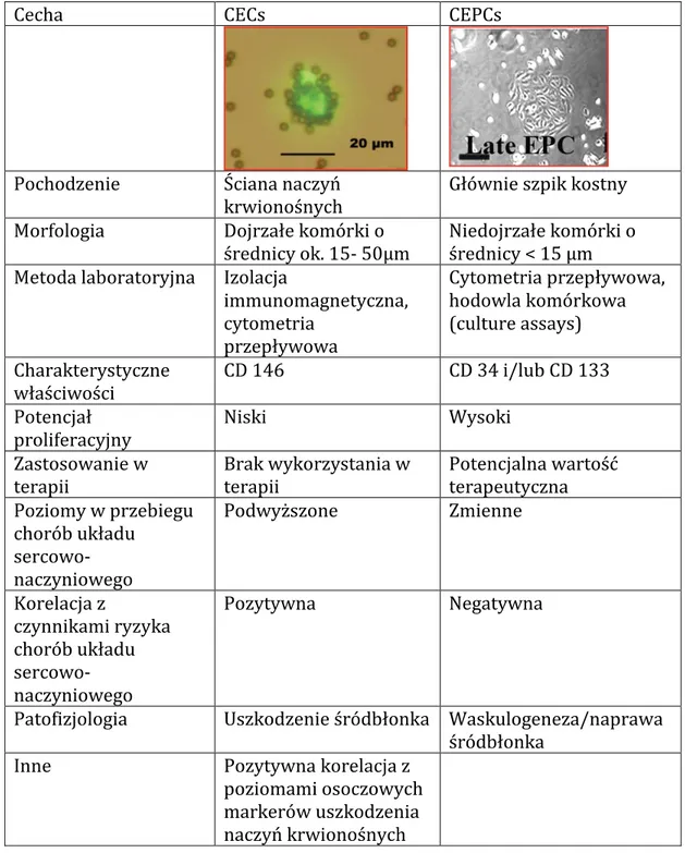 Tabela 1. Zbiorcza charakterystyka porównawcza CECs i CEPCs. Fotografie  zaczerpnięto z  94 