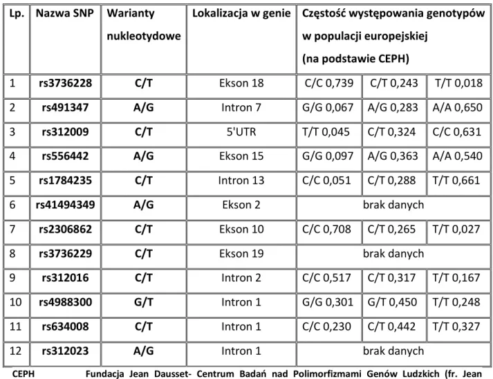 Tabela 15. Analizowane SNP genu LRP5 (w oparciu o International HapMap Project)  Lp.  Nazwa SNP   Warianty  