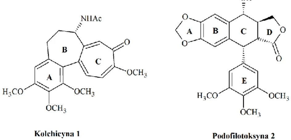 Rysunek  8.  Struktury  2D  ligandów  oddziałujących  z  kolchicynową  domeną  wiążącą:  kolchicyny  1  i  podofilotoksyny 2 