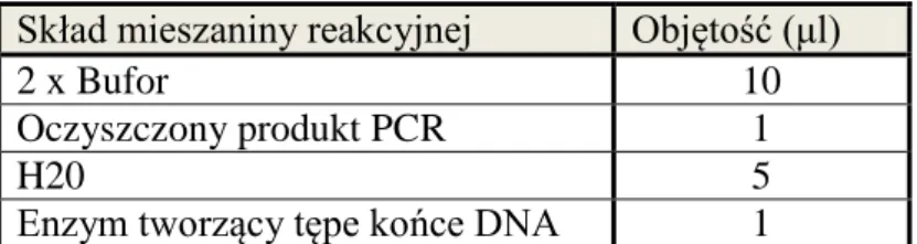 Tabela 18. Przygotowanie produktu PCR do klonowania. 