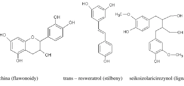 Rysunek 1 Przykładowe struktury chemiczne wybranych związków fenolowych 