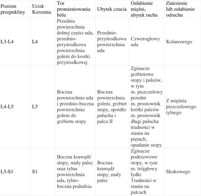 Tabela  1.  Objawy  uszkodzenia  korzeni  rdzeniowych  odcinka  lędźwiowo-krzyżowego  kręgosłupa z uwzględnieniem poziomu przepukliny jądra miażdżystego