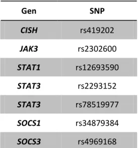 Tabela 11. SNP monoalleliczne w badanej populacji. 