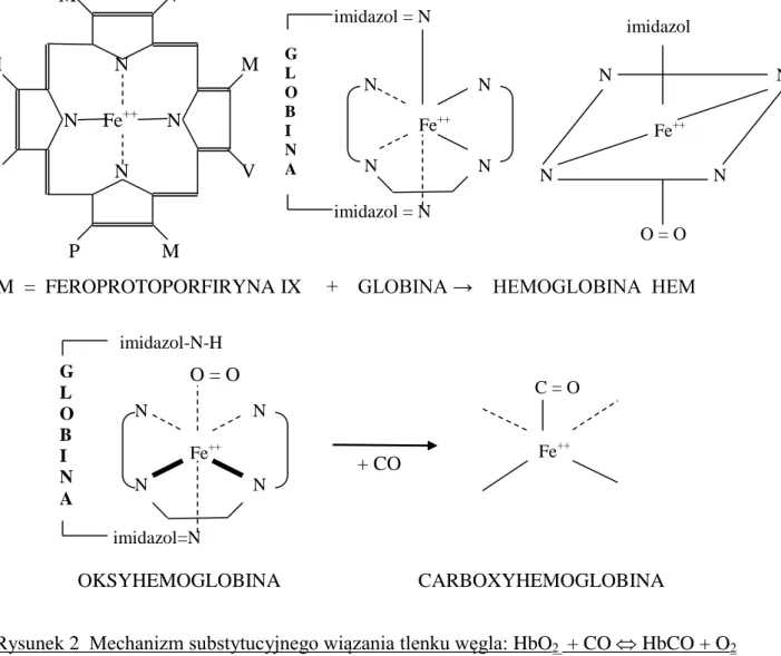 Rysunek 2  Mechanizm substytucyjnego wiązania tlenku węgla: HbO 2   + CO  HbCO + O 2