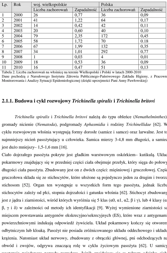 Tabela 2. Liczba zachorowań na włośnicę na terenie Wielkopolski i Polski w latach 2000-2010 