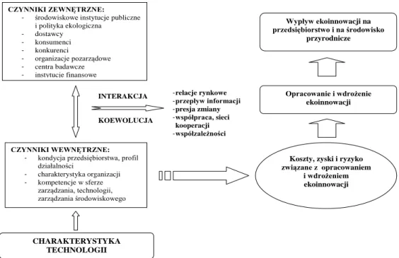 Rysunek 2.3 Determinanty ekoinnowacyjności i ich współzależności  