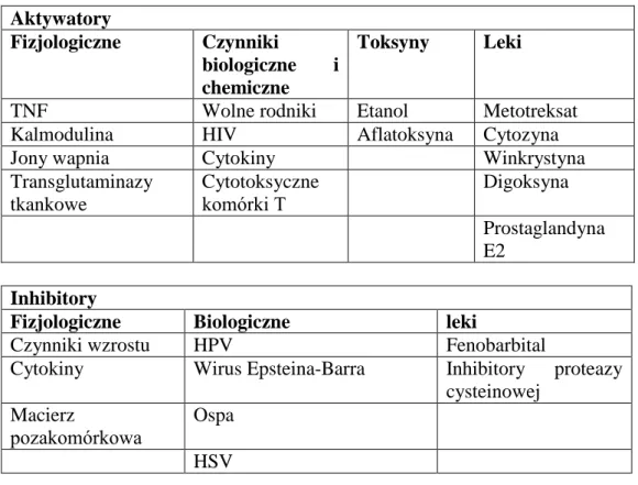 Tabela II Wybrane inhibitory i aktywatory apoptozy  Aktywatory 