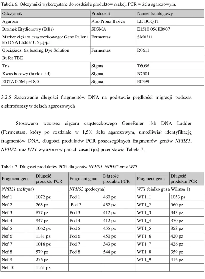 Tabela 7. Długości produktów PCR dla genów NPHS1, NPHS2 oraz WT1. 