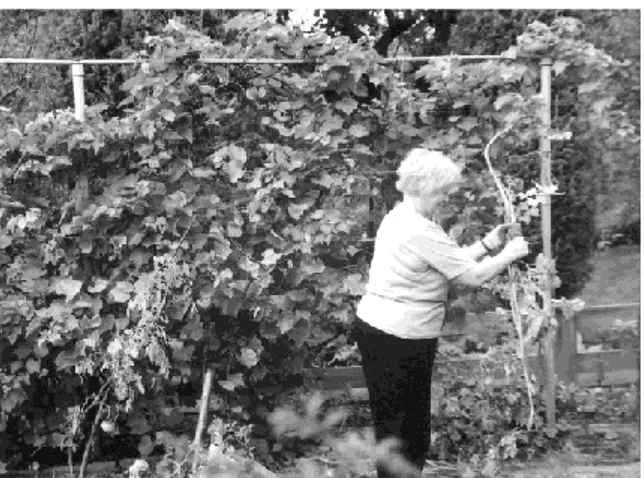 Figure 3. Although allotment gardening is an activity  dominated  by  senior  men,  more  and  more  women  become  active  allotment  garden  tenants  (Anna  Pawlikowska-Piechotka 2008) 