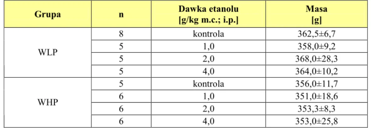 Tab. 3. Analiza masy szczurów WLP i WHP po jednorazowym podaniu etanolu. 