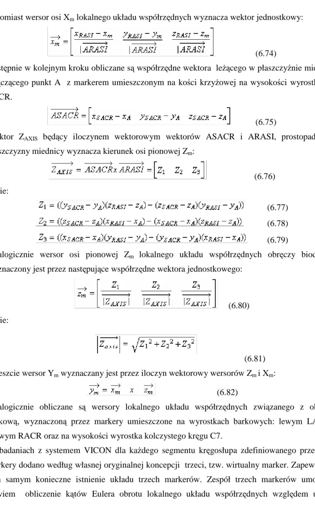 Rysunek  6.10  pokazuje  schematyczny  sposób  sytuowania  wirtualnego  markera  mv  w  układzie  z 