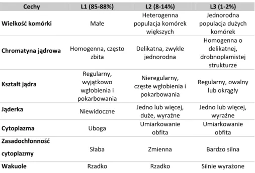 Tabela 1. Charakterystyka morfologiczna ALL wg klasyfikacji FAB (Radwańska) 