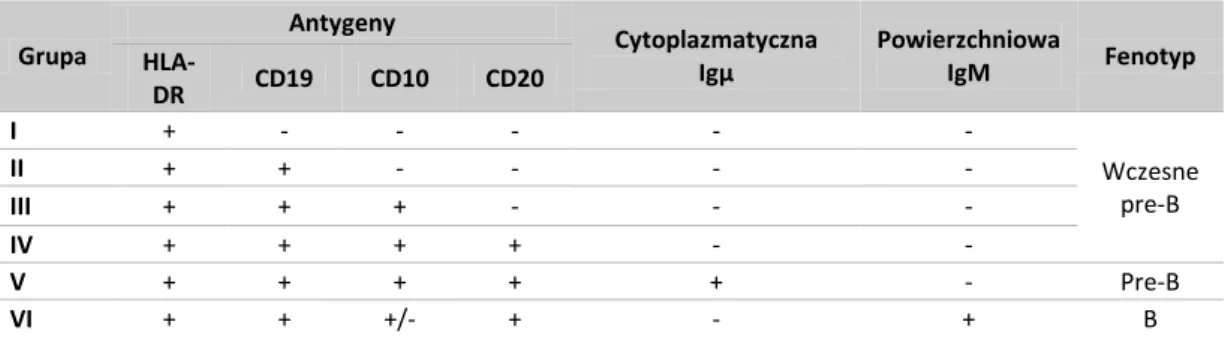 Tabela 2. Klasyfikacja immunologiczna ALL B-komórkowych (Radwańska, zmodyfikowane) 