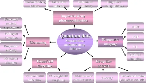 Figure 41. Potential applications of QDs in medicine and pharmacy [223]. 