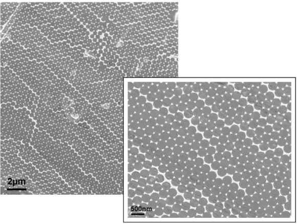Figure 12 SEM images showing at different magnifications the arrays of gold islands produced  by NSL