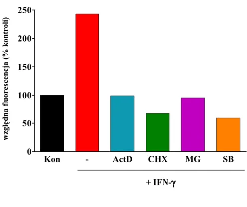 Wykres  zestawia  wyniki  pomiarów  ekspresji  powierzchniowej  ICAM-1  dokonane  za  pomocą  cytometru  przepływowego