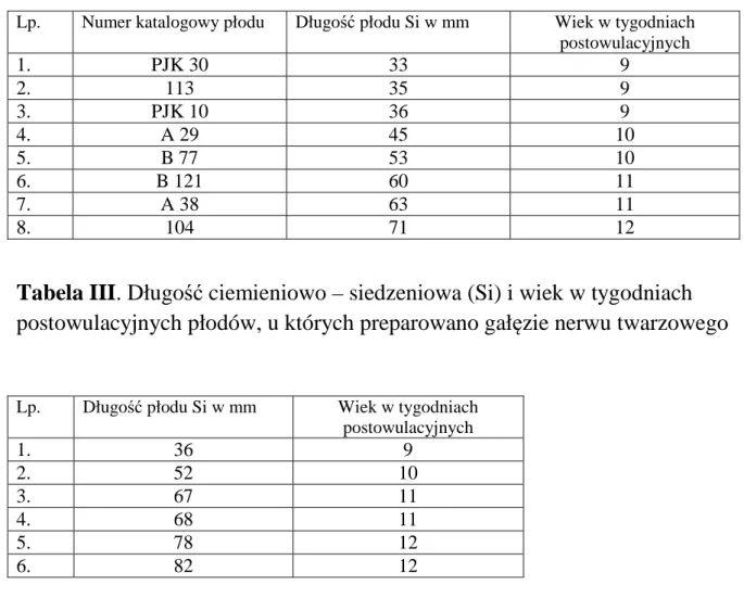 Tabela III. Długość ciemieniowo – siedzeniowa (Si) i wiek w tygodniach  postowulacyjnych płodów, u których preparowano gałęzie nerwu twarzowego 