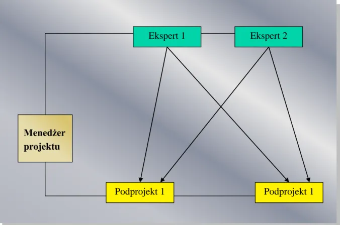 Rysunek 8: Ekspercka struktura zespołu projektowego 