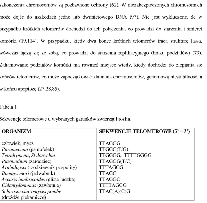 Tabela 1                                                                                  Sekwencje telomerowe u wybranych gatunków zwierząt i roślin