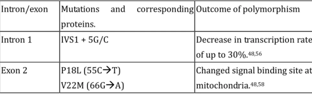 Table 2-1 Disease-Causing Mutations of the Myh Gene and Their Corresponding  Proteins