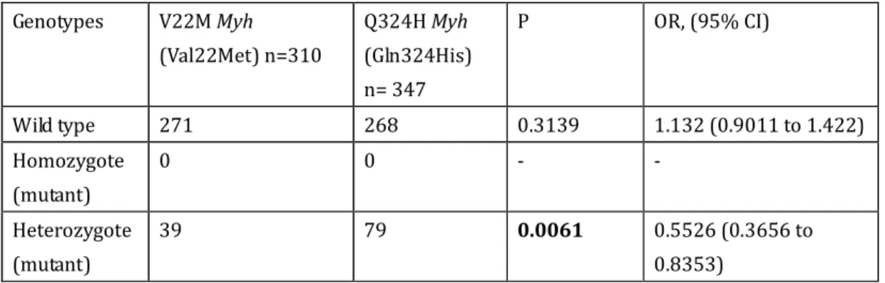 Table 5-6    The association between the V22M Myh (Val22Met) and Q324H Myh  (Gln324His) polymorphisms in the control group 
