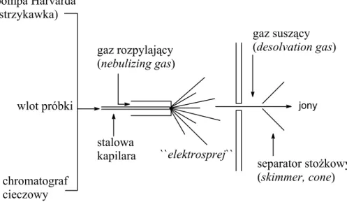 Rysunek 8. Uproszczony schemat źródła jonów ESI 