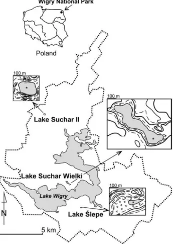 Fig. 1. Lo ca tion of stud ied lakes. * – places of the corings.