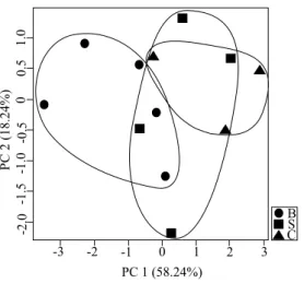 Fig. 4  Scatterplot presenting the result of prin- prin-cipal component analysis (PCA) based on five  morphological characters for twelve M