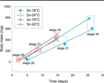 Table 1: Body masses (mg) of diploid and triploid Pelophylax esculentus tadpoles in selected stages of development, reared at two water temperatures