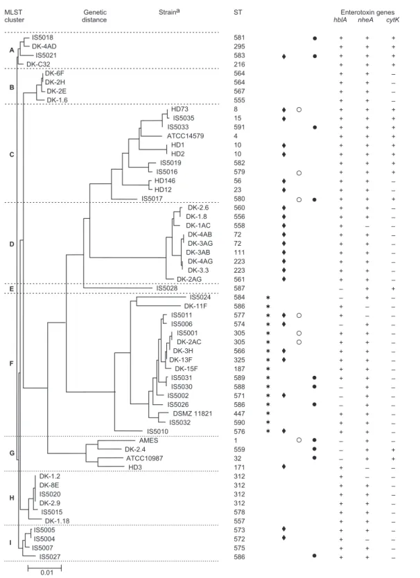 Fig. 2. NJ dendrogram of MLST analysis of Polish (IS) and Lithuanian (DK) soil Bacillus thuringiensis isolates and the references strains of B