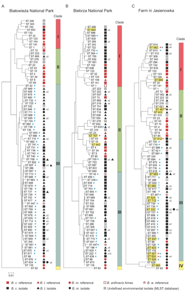 Figure 6. NJ phylogenic trees of the B. cereus s.l. environmental isolates originated from three locations in northeastern Poland and Genetic Structure and Phylogeny of B