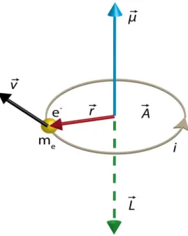 Figure 2.1: Schematic representation of the precession  of a single electron on the table plane