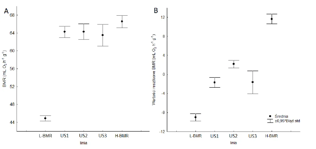 Wykres  1.  Skorygowane  o  masę  ciała  (A)  wartości  tempa  metabolizmu  podstawowego  (BMR);  (B)  wartości  resztkowe  tempa  metabolizmu  podstawowego  (BMR)  w  liniach  myszy  laboratoryjnych  (Mus  musculus)  selekcjonowanych  na  niskie  (L-BMR; 