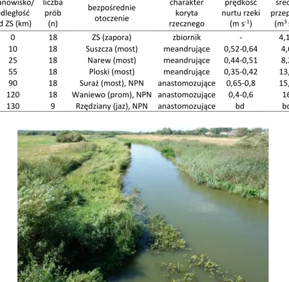 Tab.  3.  Charakterystyka  stanowisk  badawczych  rzeki  Narew  poniżej  zbiornika  Siemianówka (wg