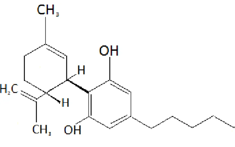 Rysunek nr 6. Struktura chemiczna CBN. 