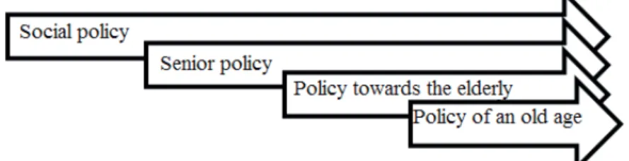 Figure 1. Relationship between the policies targeted at ageing of the society