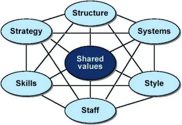 Figure 1. Architecture of the model „McKinsey 7-S”