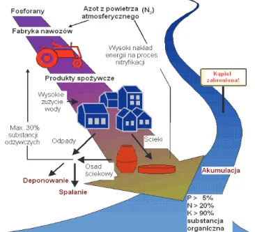 Fig. 1. The current functions of water and wastewater management in urban  areas, own elaboration  